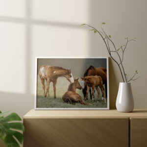 Drei Fohlen, eins davon liegt, beschnuppern sich gegenseitig. Das Bild ist als Fine Art Print gedruckt, eingerahmt und steht auf einer Kommode. Fotografiert von Kim Kärger.