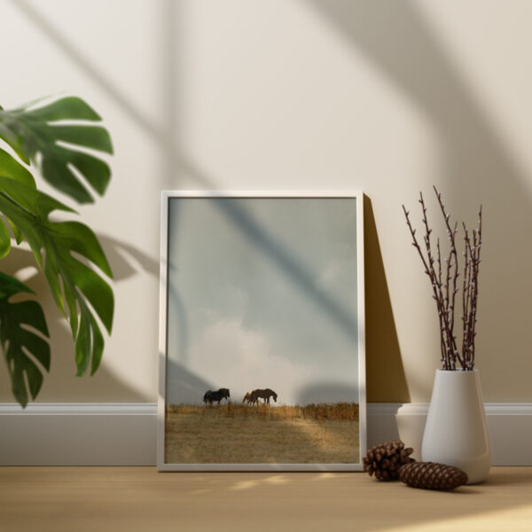 Eine Herde aus drei Hengsten die im Schritt über die Wiese gehen. Die weite des Himmels mit toller Wolkenformation ist zu sehen. Das Bild ist als Fine Art Print gedruckt, eingerahmt und steht auf dem Fußboden. Fotografiert von Kim Kärger.