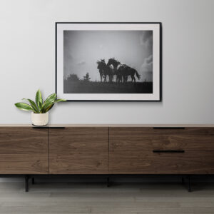 Eine Herde aus fünf Hengsten die ihre Rangordnung klären. Das Bild ist als Fine Art Print gedruckt und steht auf einer Kommode. Fotografiert von Kim Kärger.