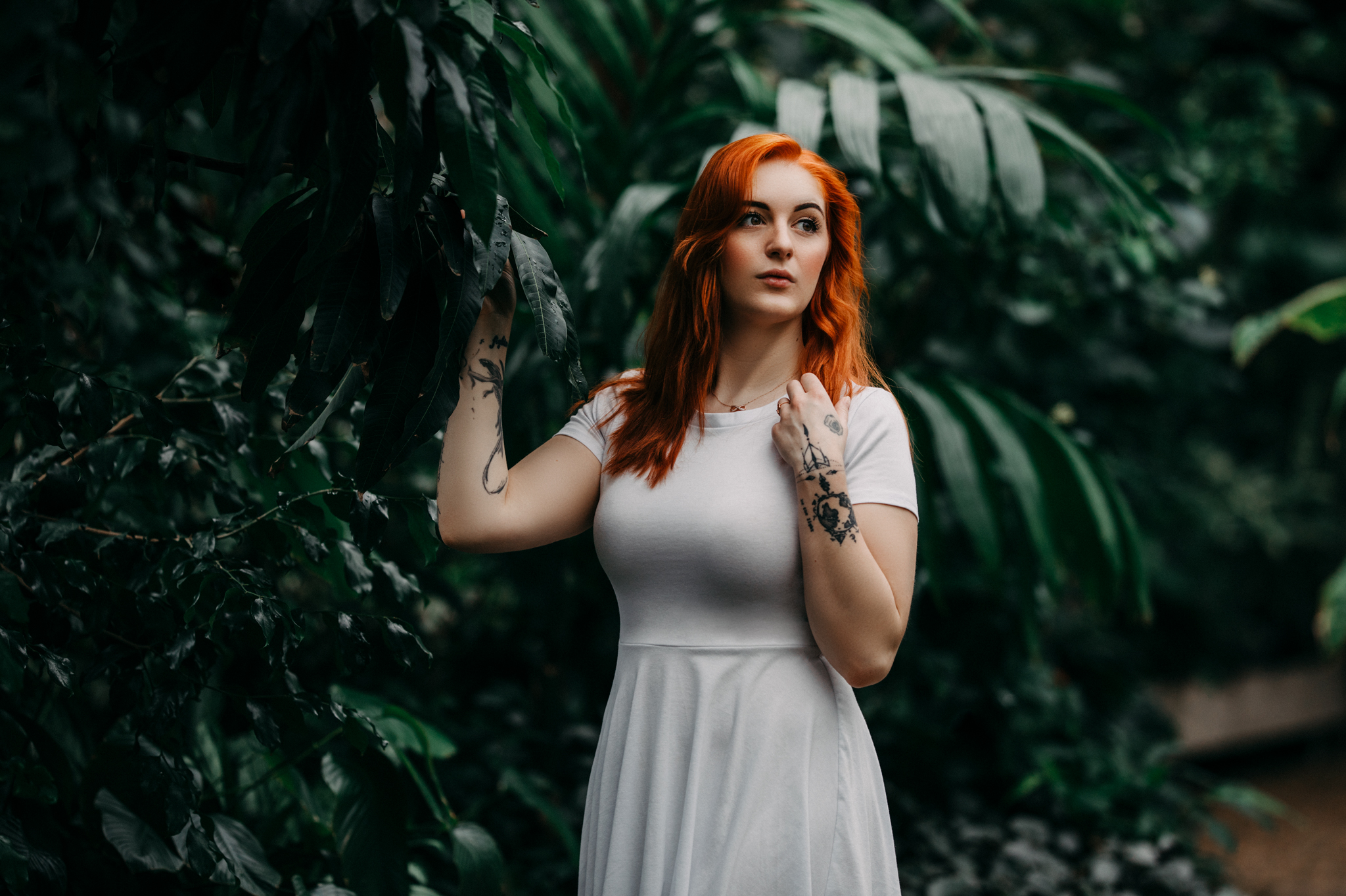 Kim Kärger in einem weißen Kleid stehend mit einer Hand an einem Baum im botanischen Gewächshaus von Hannover