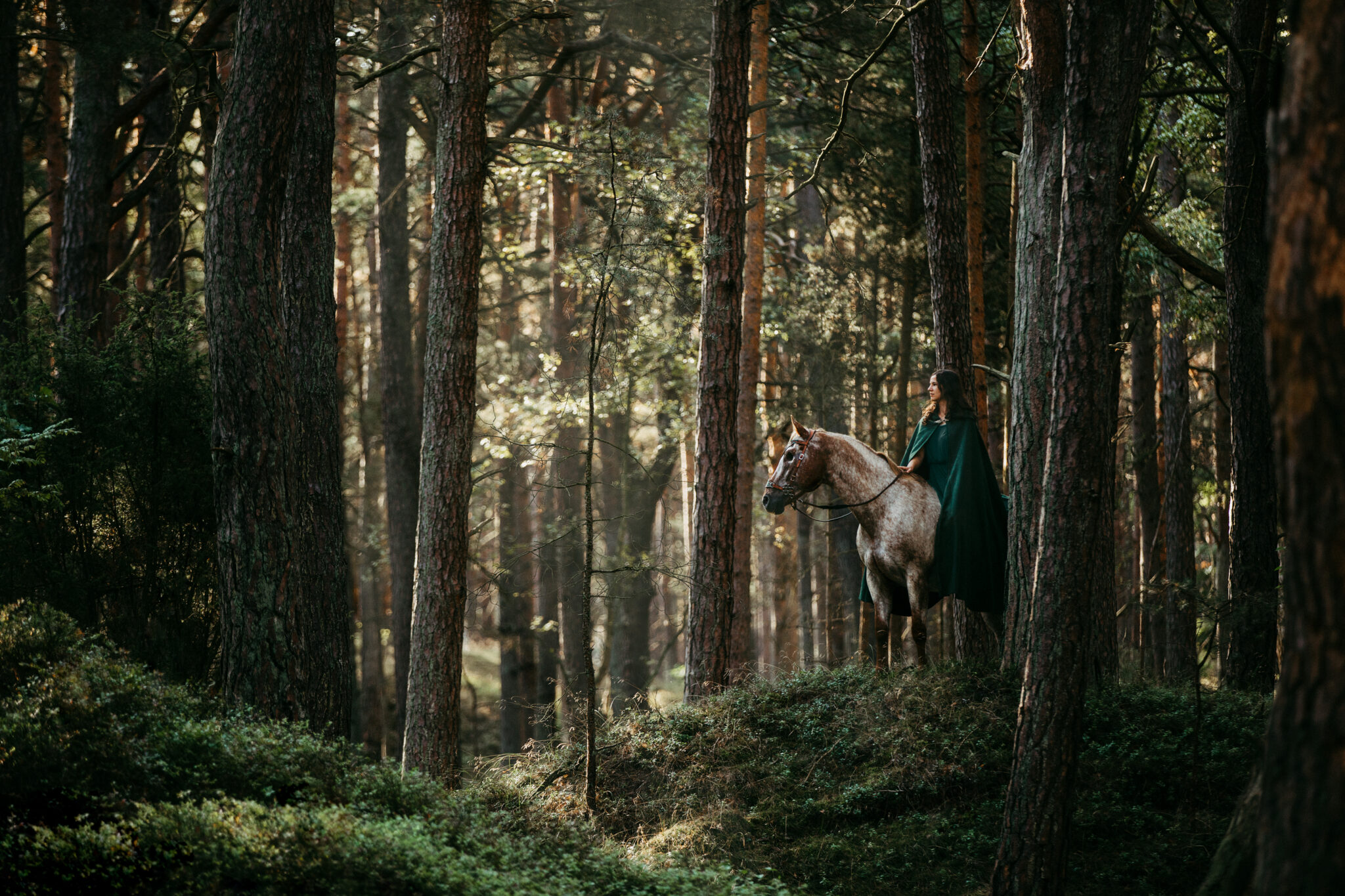 Pferd steht in den Wäldern vom Ostsee-Strand auf Usedom. Fotoshooting mit Kim Kärger Photography