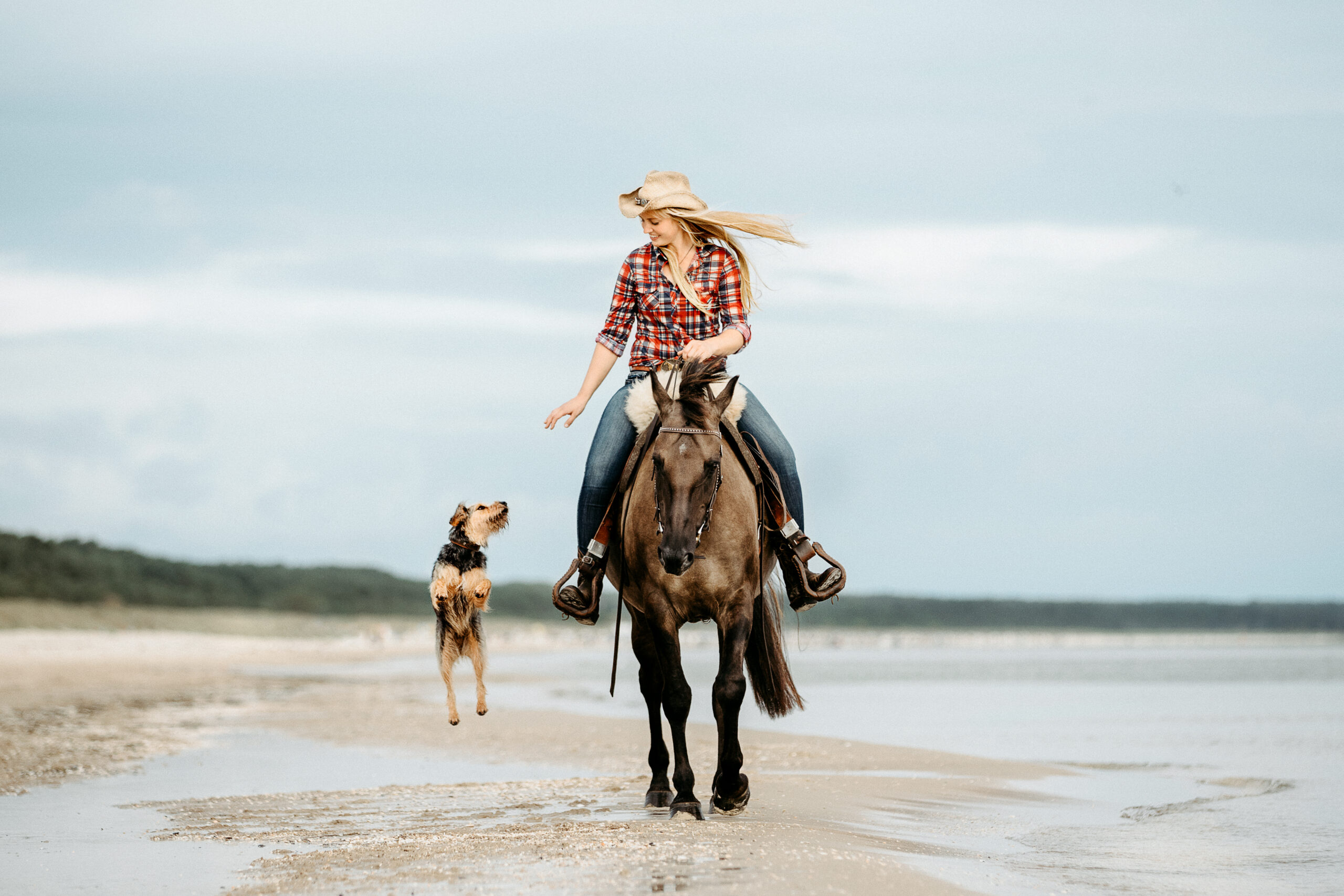 Pferd wird im Westernstil am Strand von Usedom geritten. Neben der Reiterin springt ein Hund freudig hoch.