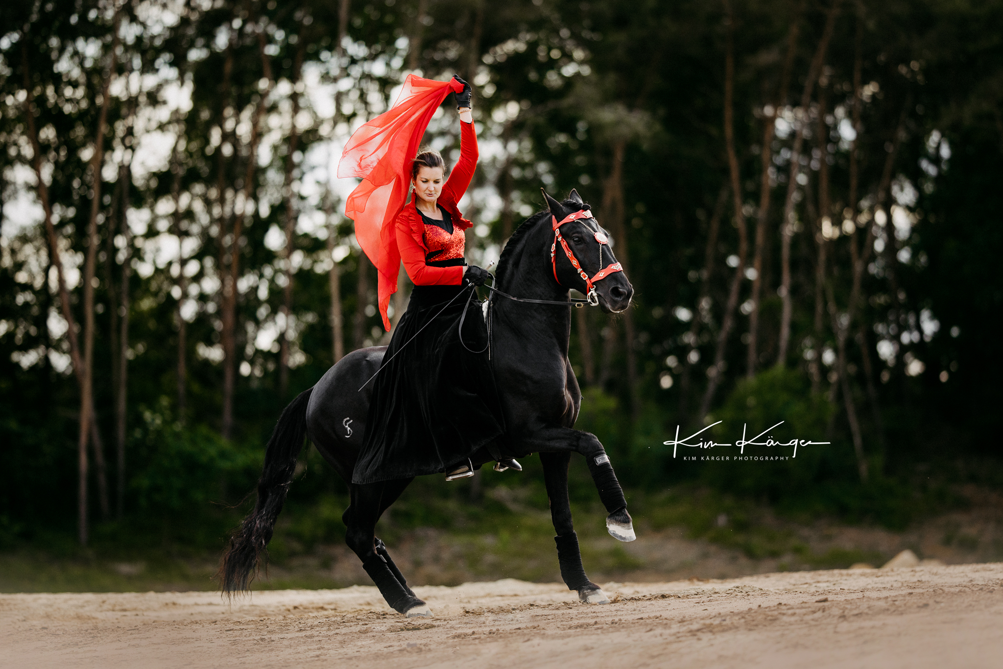 Ein schwarzes Pferd welches im Galopp tanzt. Die Reiterin mit spanischer Gewandung und einem roten Tuch welches im Wind weht.