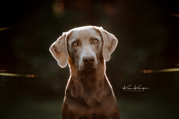 99€ Fotoshooting-Angebot - Geburtstags-Special – Bild 3