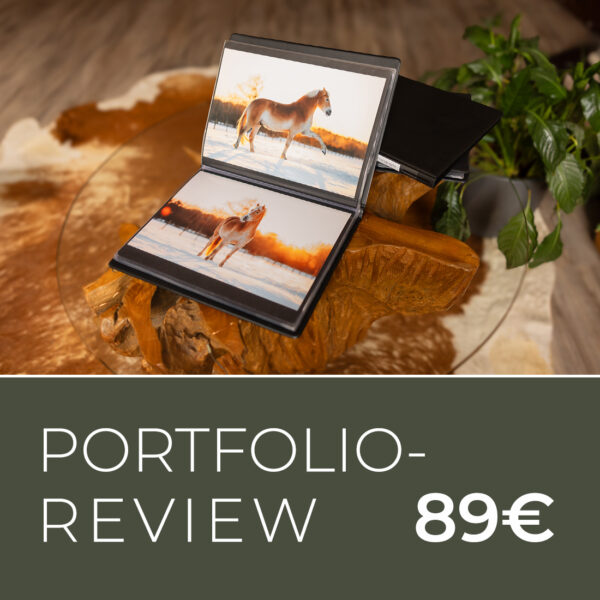 Portfolio-Review